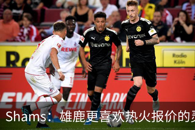 Shams：雄鹿更喜欢热火报价的灵活性和潜力 不想要29岁的布朗